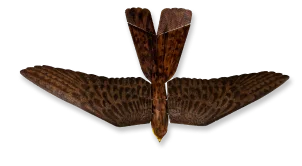 Aerium Analytics | Drone Technology Solutions - RoBird®