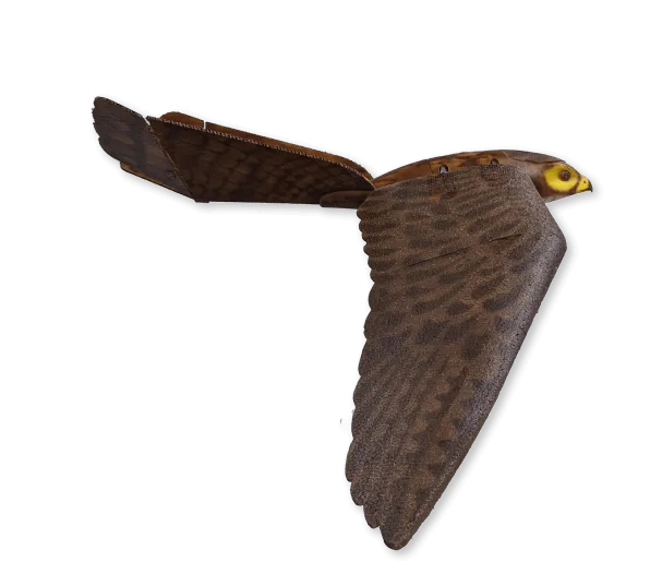 Aerium Analytics | Drone Technology Solutions - RoBird